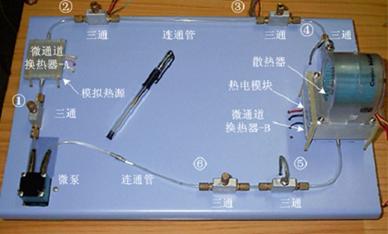 //web.toupai88.com/wdwang/images/20130610_022300.jpg